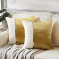 Velvet Luxe Black Throw Pillow Cover — 18" — 22" x 22" (Pack of 2)