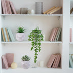 Modern Stone Artificial Plant - View 4