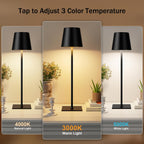 Cordless Black Desk Lamp - View 2