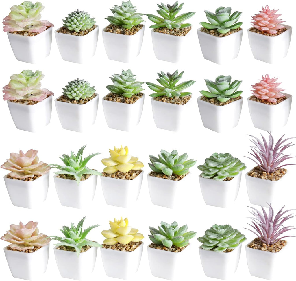 Gold Faux Succulent — White-24