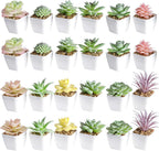 Gold Faux Succulent — White-24