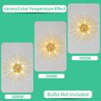 Luxe Black Chandelier — 6-Light - View 5
