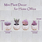 Ceramic Faux Succulent - View 6