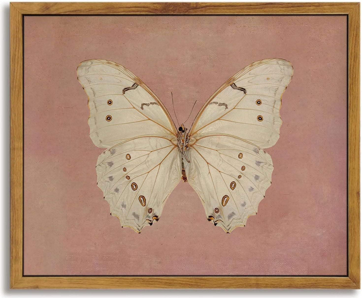 Framed Farmhouse Black Canvas Wall Art — 10" — Butterfly