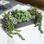 Rectangular Black Faux Succulent — 15" - View 8