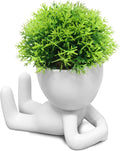 Beige Faux Succulent — Set of 1 — White-g