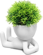 Beige Faux Succulent — Set of 1 — White-g