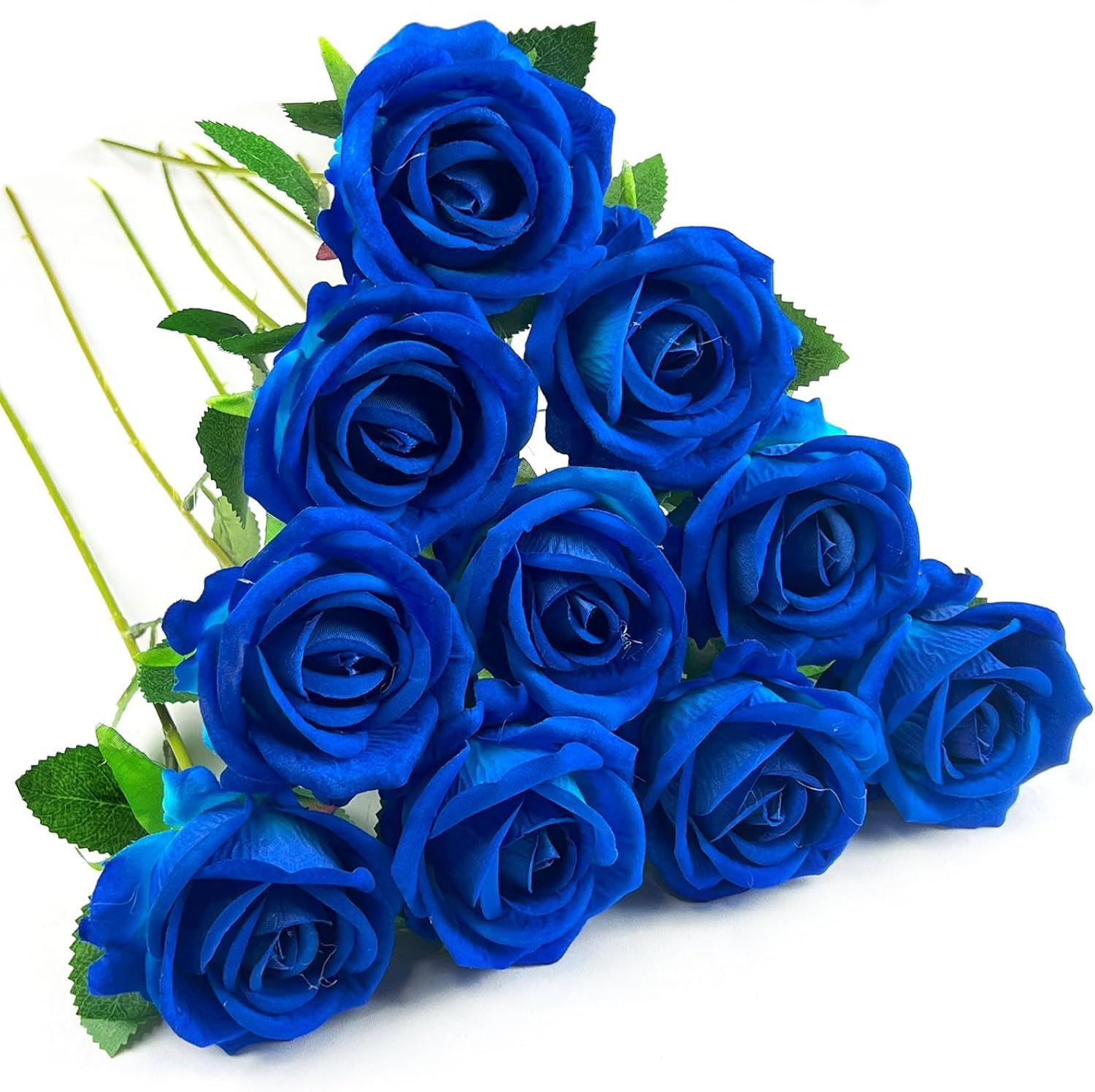 Black Artificial Plant — Blue