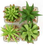 Glass Faux Plant — Set of 4 - View 3