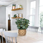 Boho Rattan Artificial Plant — 11" - View 4