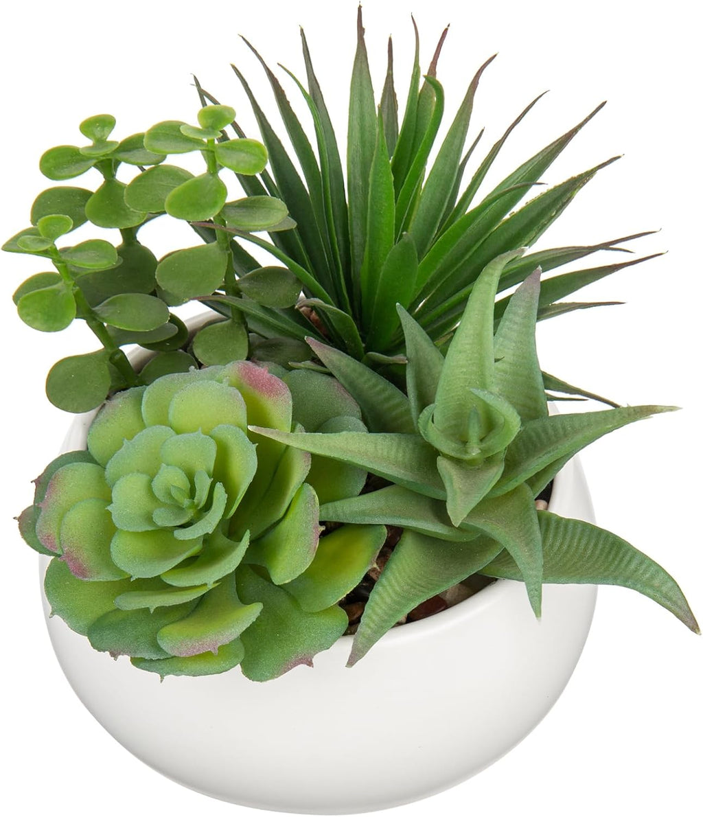 Black Faux Succulent — Matte White