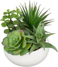 Black Faux Succulent — Matte White
