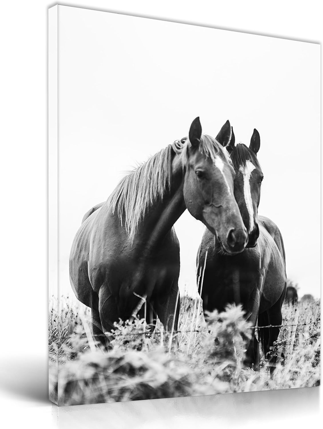 Framed Black Canvas Wall Art — 16" — Black and White Horse