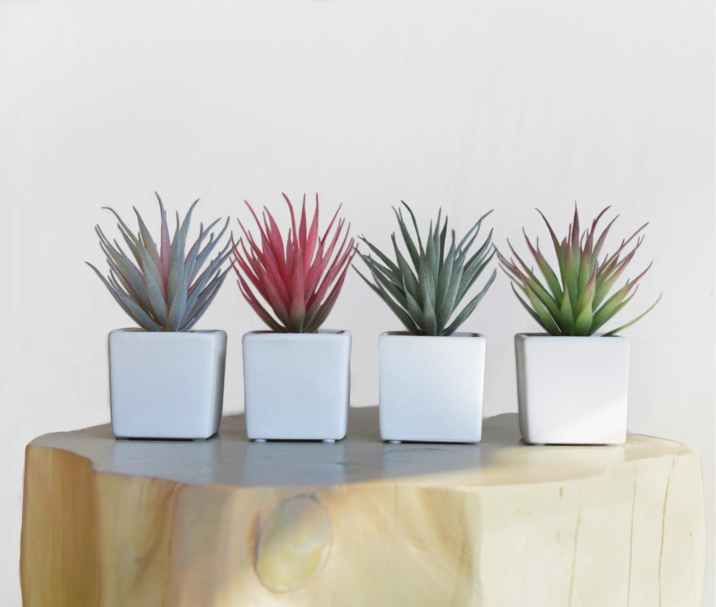 Ceramic Faux Succulent — Set of 4