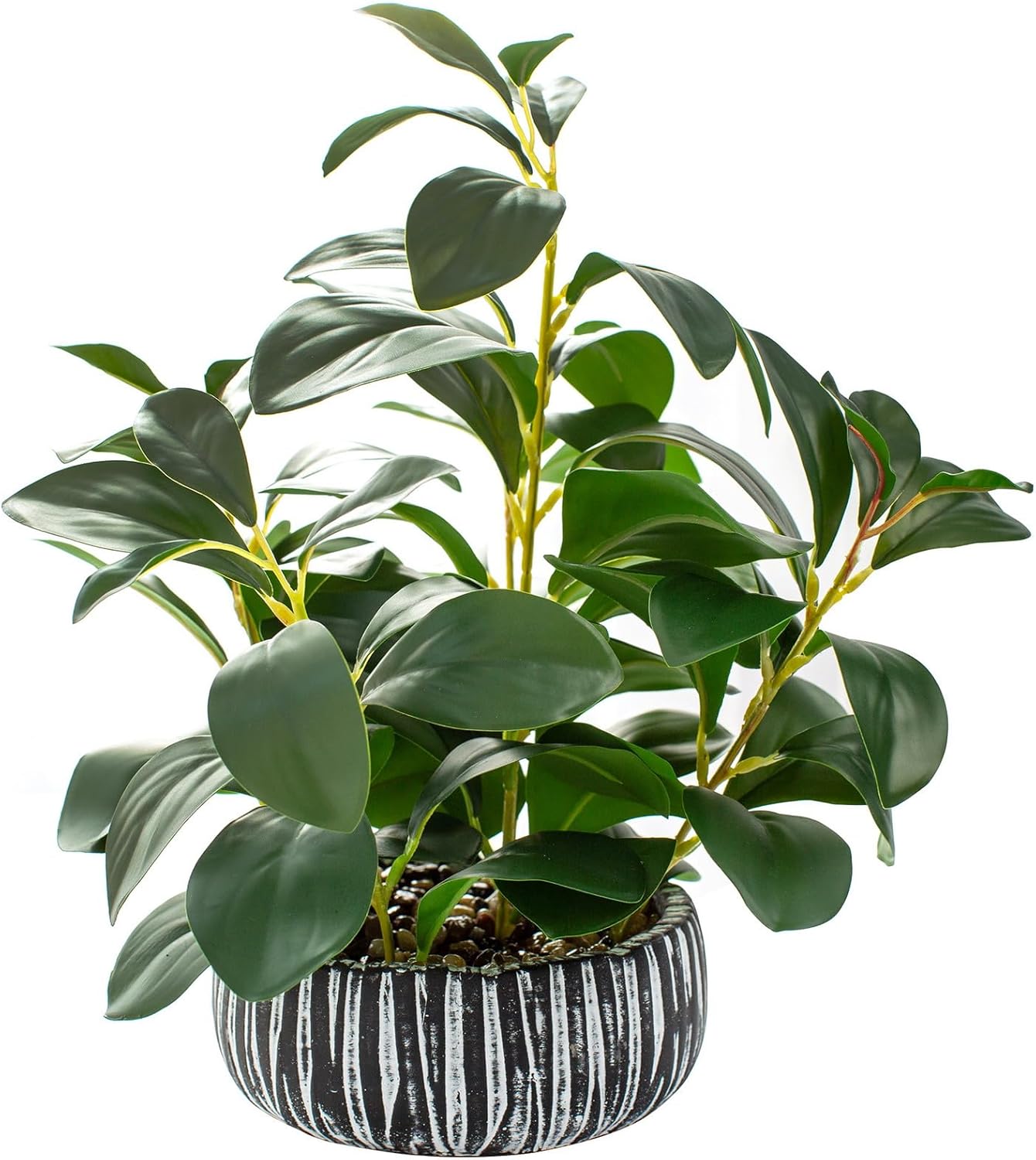 Boho Green Artificial Plant — 18.8" — 12.8" H