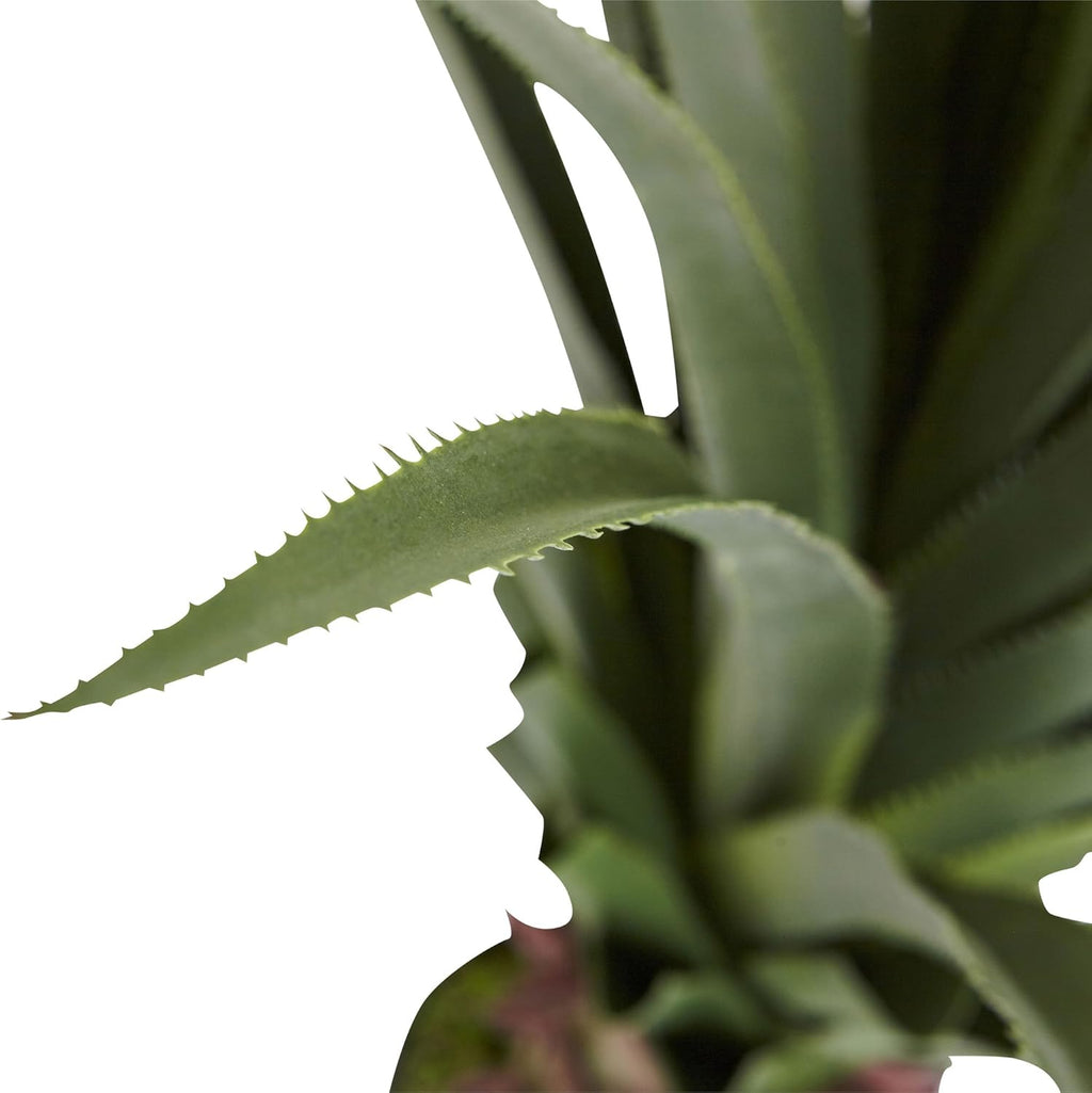 Faux Succulent - View 7