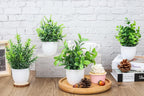 Farmhouse Green Faux Plant - View 4