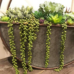 Green Artificial Plant - View 2