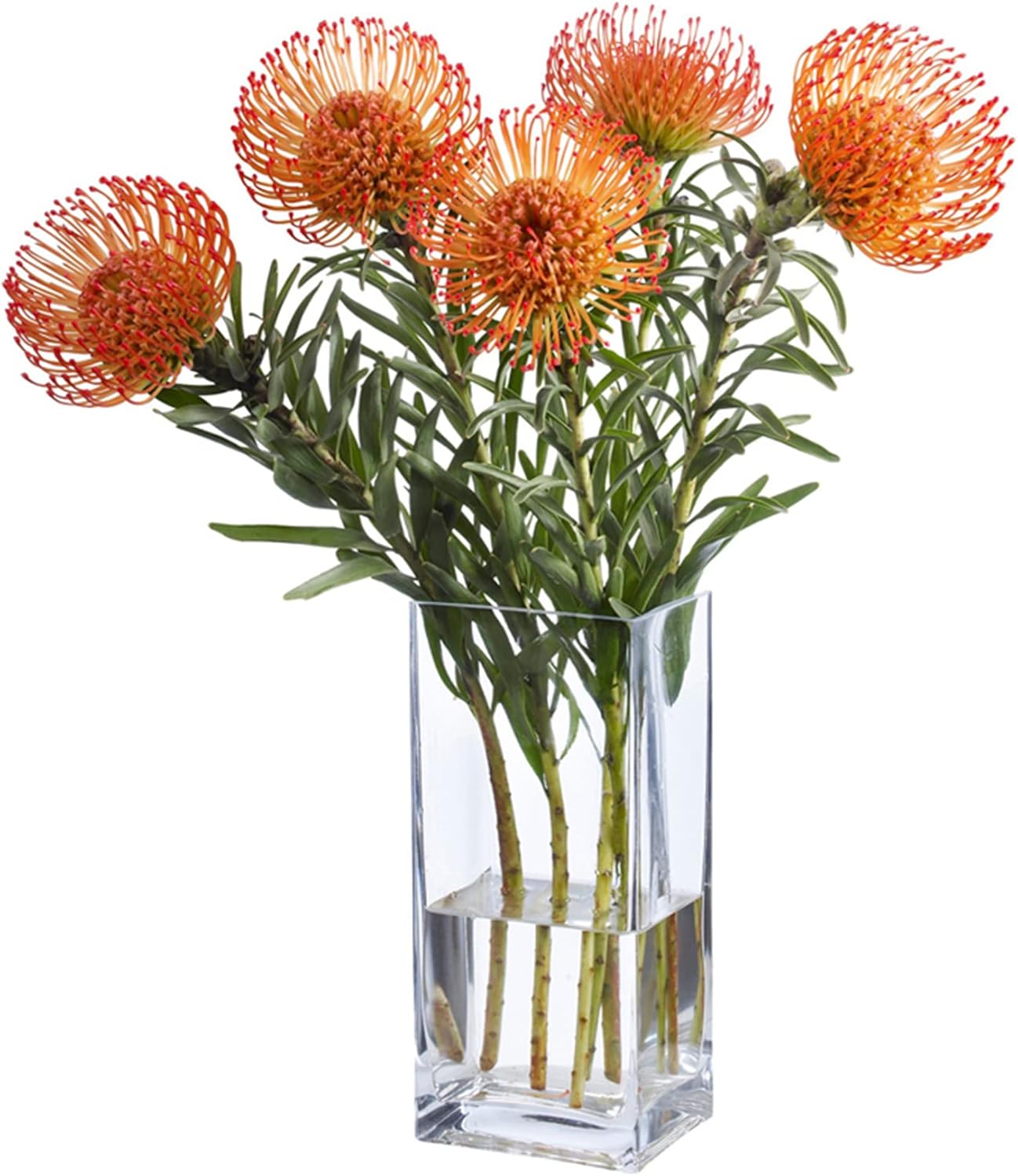 Glass Vase — 4" — 4"×4"×8"(L×W×H)