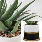 Farmhouse Black Artificial Plant - View 3
