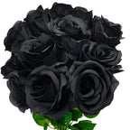 Black Artificial Plant