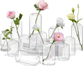 Modern Orange Vase — Set of 6 — Transparent
