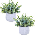 Modern Black Artificial Plant — 7.1" — White Pot