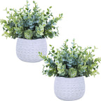 Modern Black Artificial Plant — 7.1"