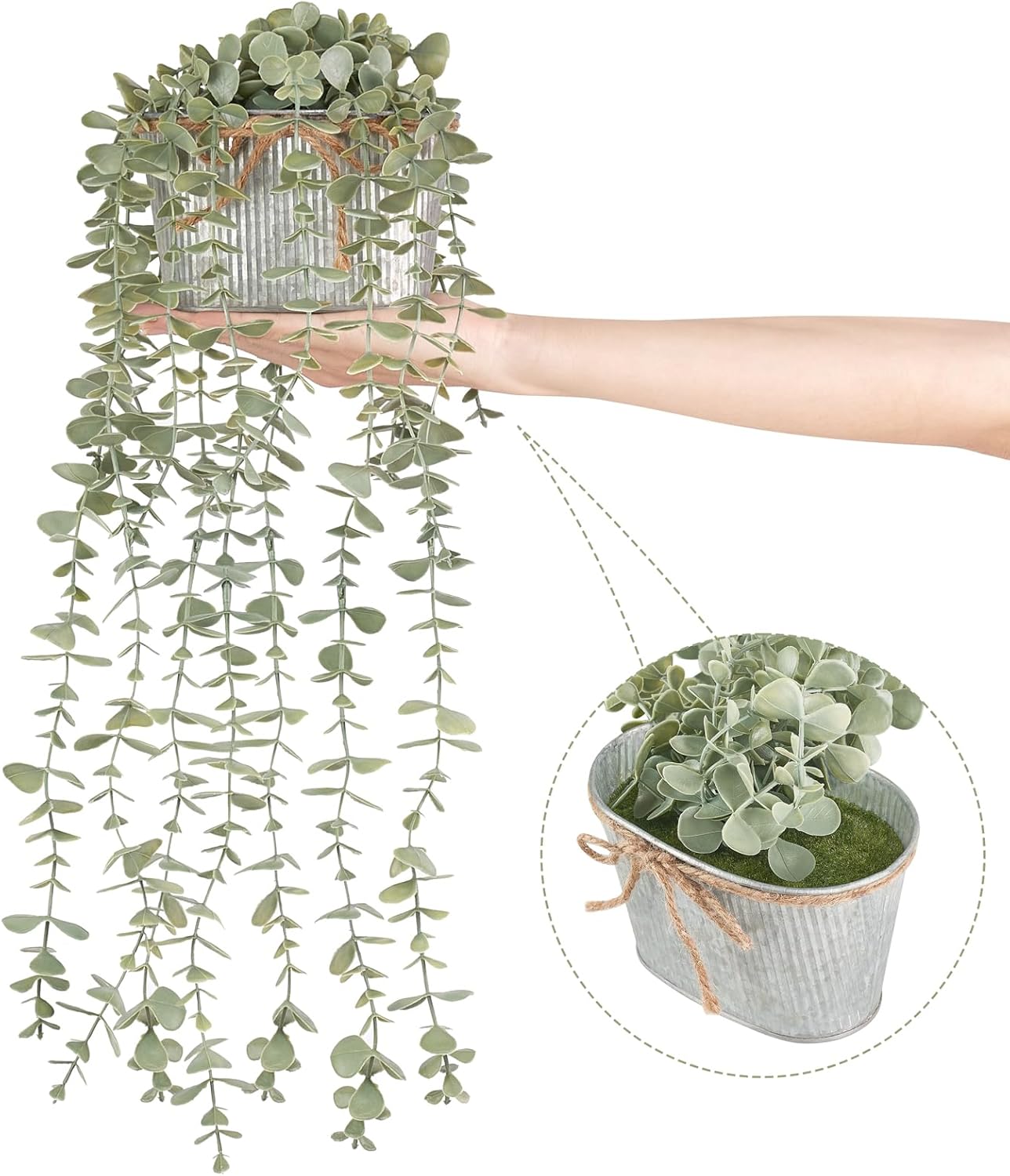 Farmhouse Black Artificial Plant - View 6