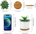 Wood Artificial Plant — 9" - View 4