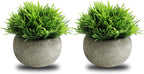 Artificial Plant - View 9