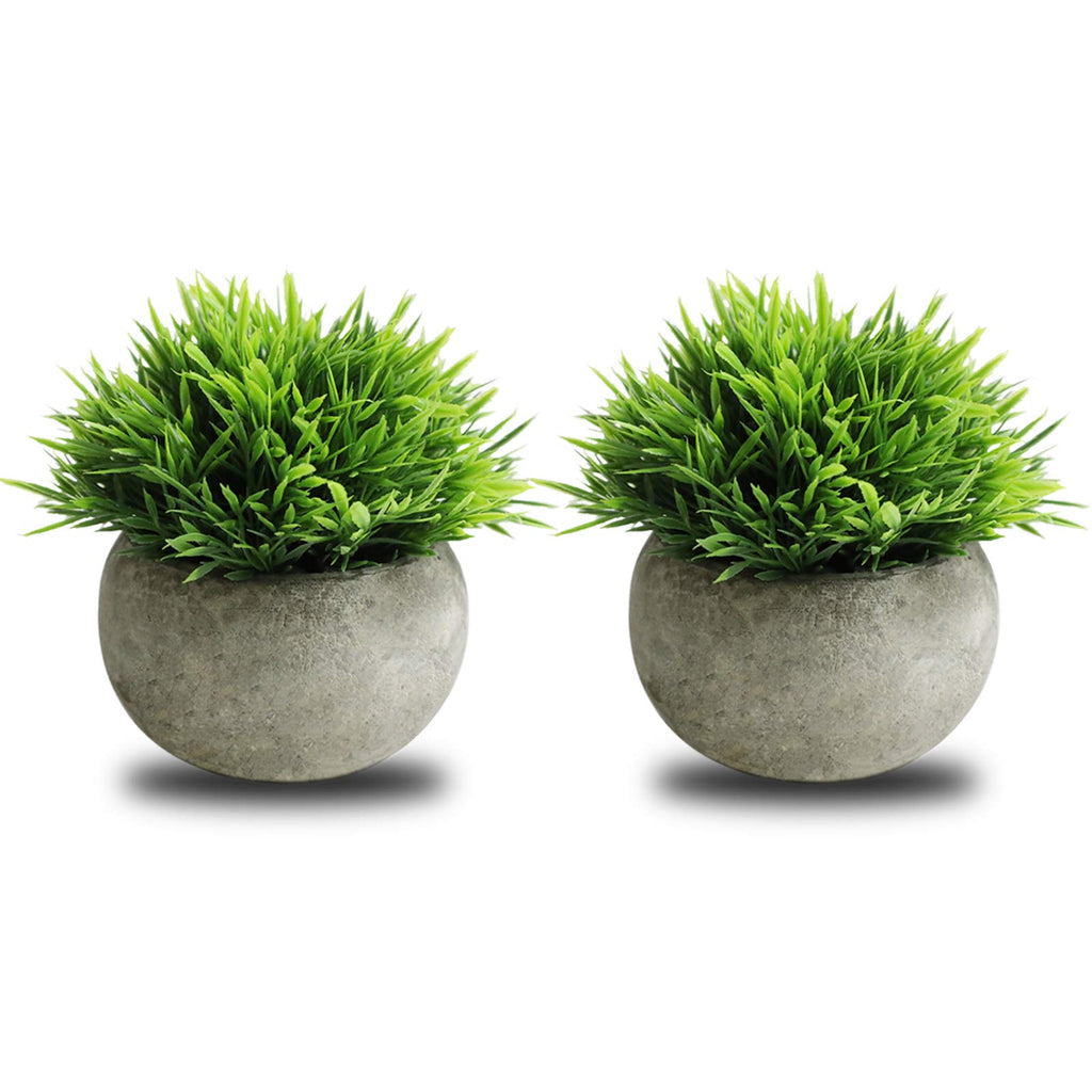 Artificial Plant