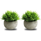 Artificial Plant