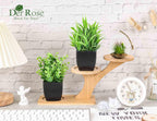 Faux Plant - View 3