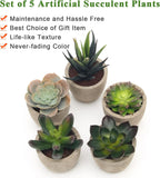 Green Faux Succulent — Set of 5 - View 4