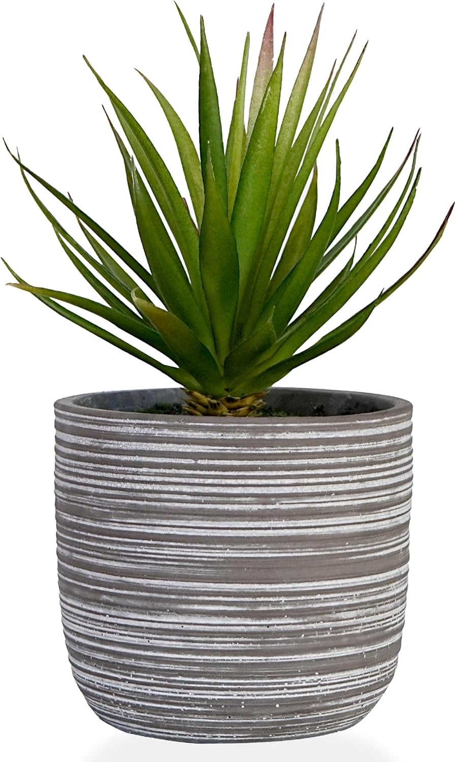 Beige Faux Plant — 6.7" — Realistic Agave in Cement Pot