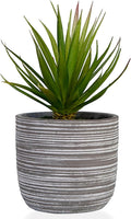 Beige Faux Plant — 6.7" — Realistic Agave in Cement Pot