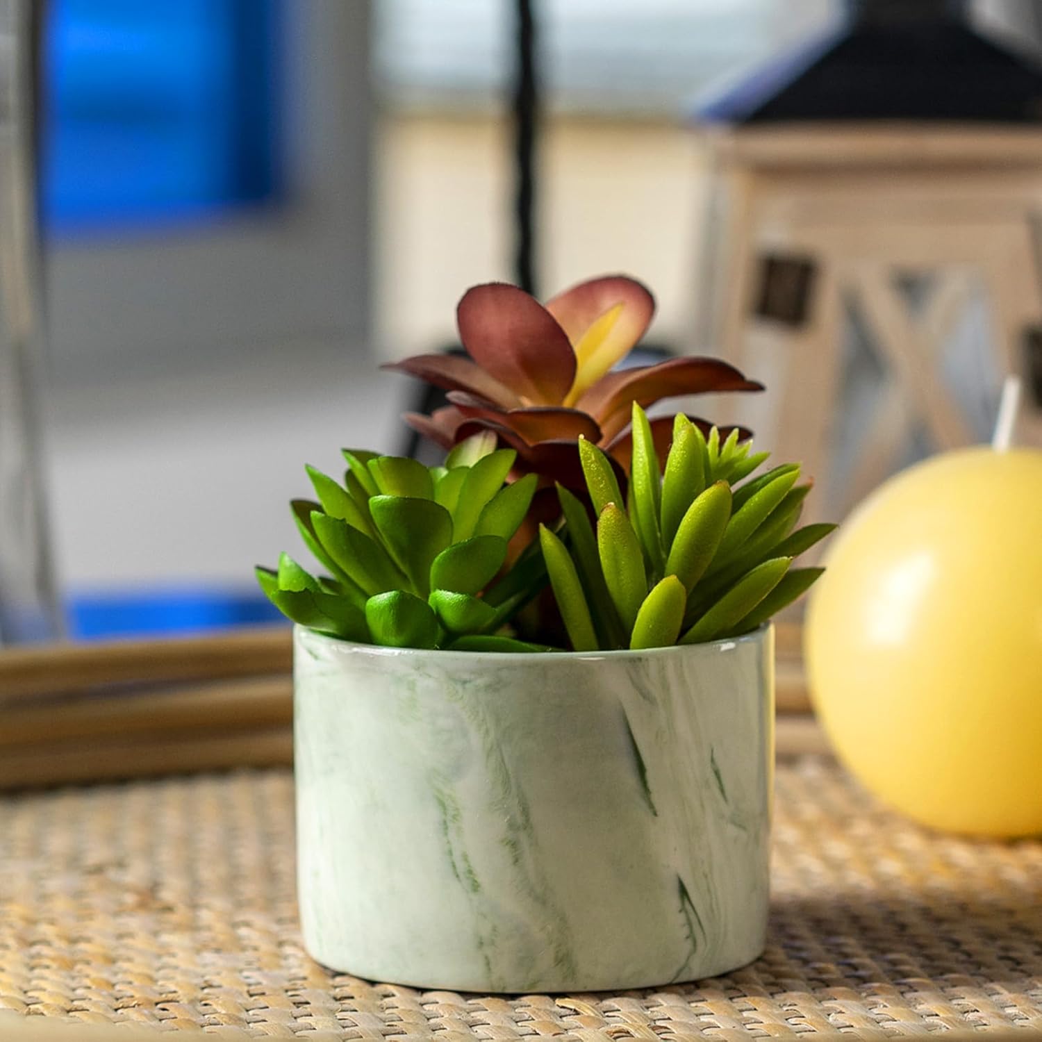 Blue Artificial Plant — Colorful