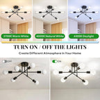 Mid-Century Black Chandelier — 6-Light - View 6