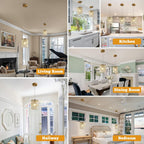 Adjustable Luxe Glass Chandelier - View 4