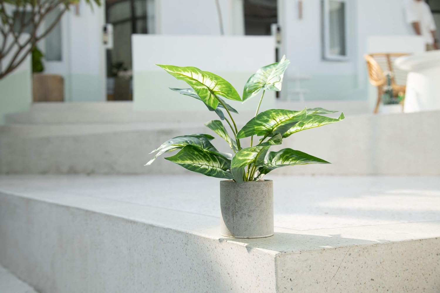 Farmhouse Faux Plant — 16" - View 3