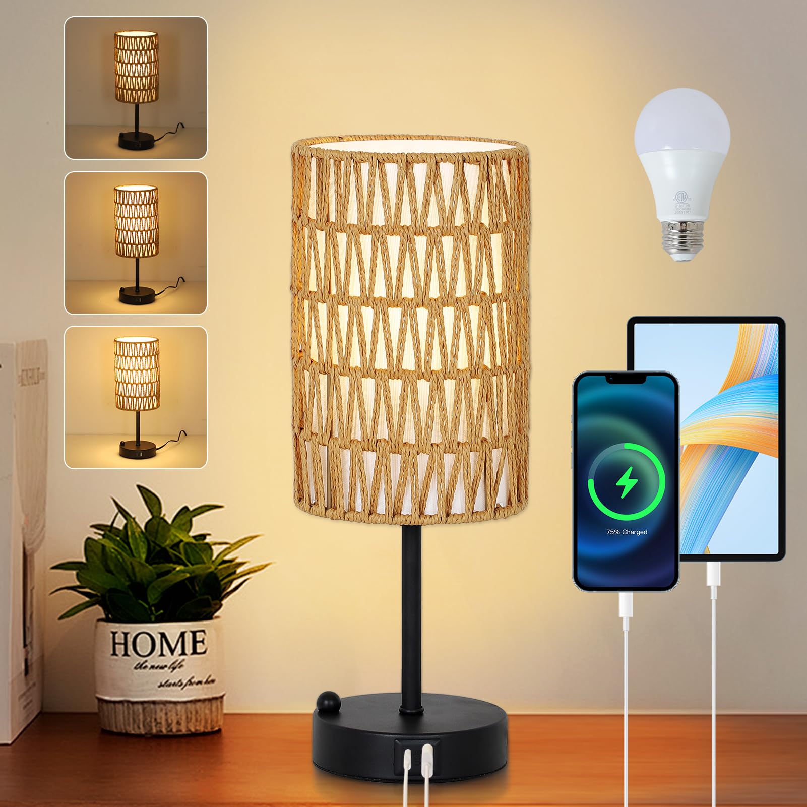Dimmable Boho Black Desk Lamp