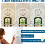 Luxe Black Chandelier — 12-Light - View 5