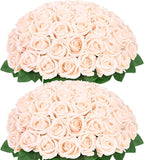 Velvet Luxe Black Artificial Flowers — Champagne