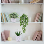 Modern Stone Faux Succulent - View 3