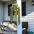 Green Artificial Plant - View 7