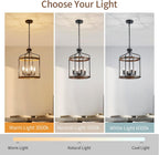 Farmhouse Black Chandelier — 4-Light - View 3