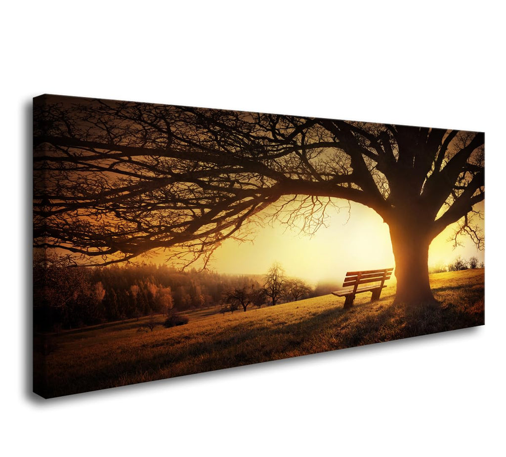 Framed Luxe Black Wall Decor — 58"