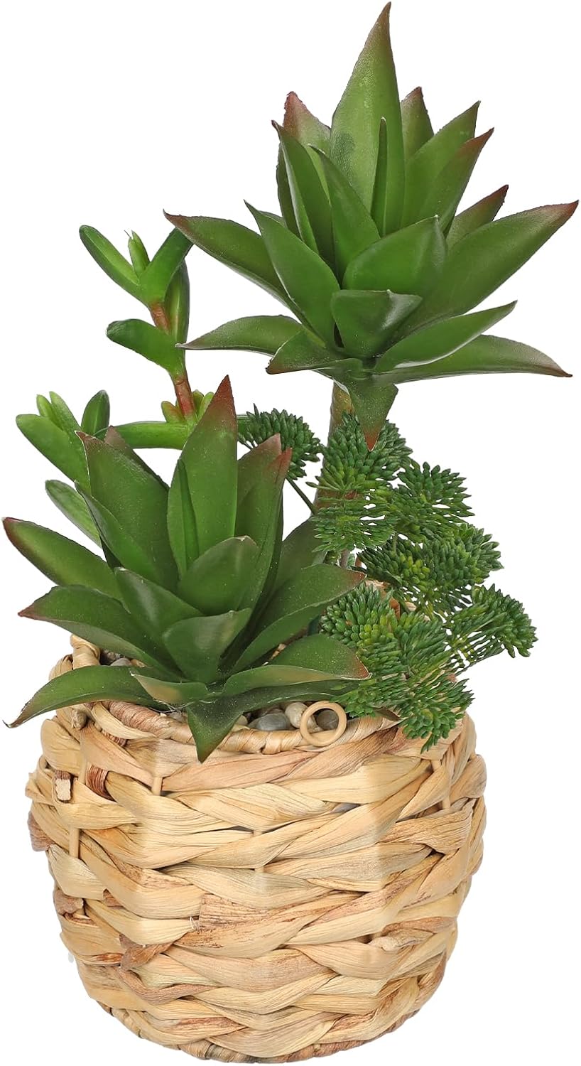 Ceramic Faux Succulent — Waving #Style2