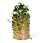 Artificial Plant
